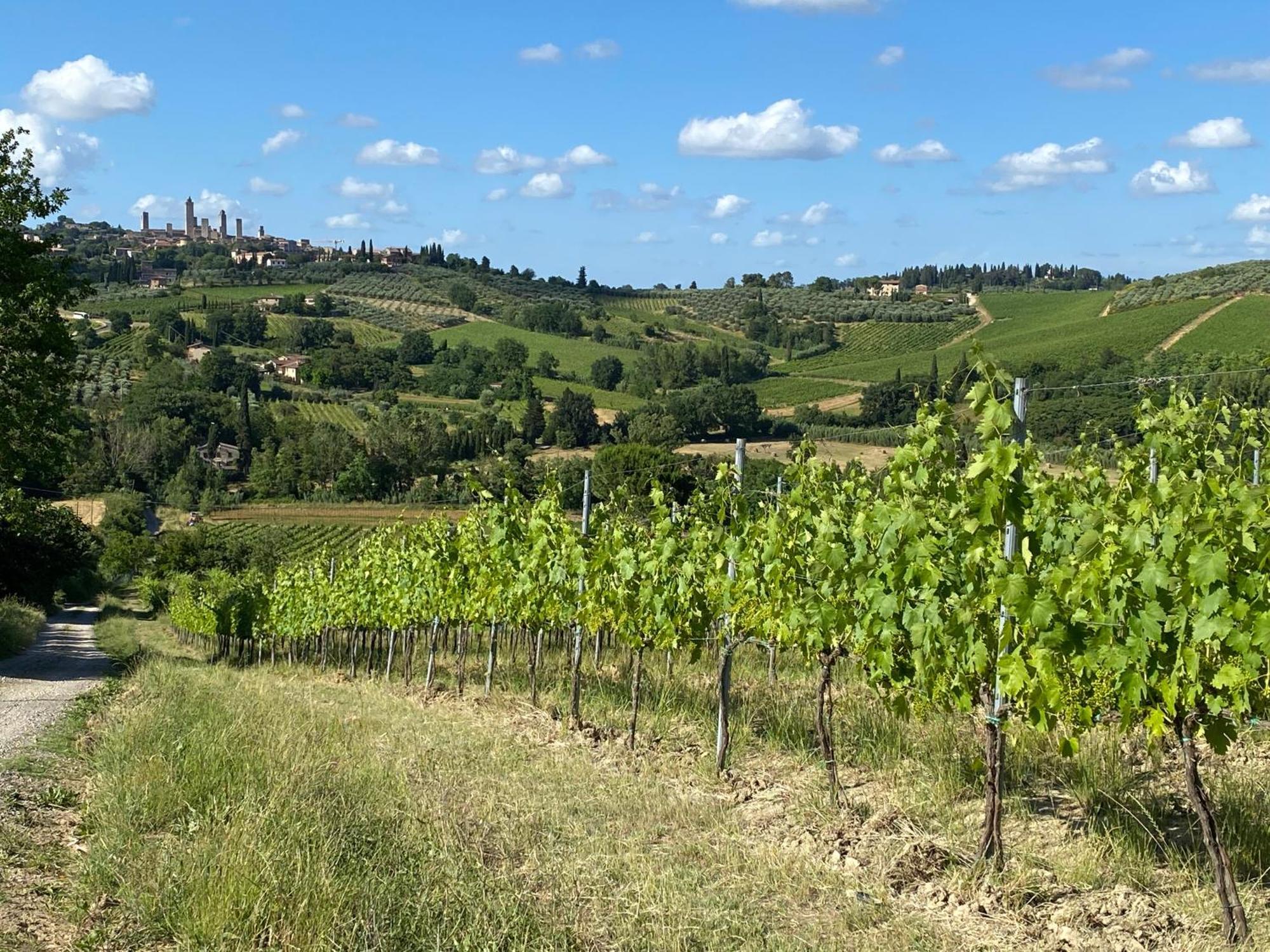 Podere Casanuova San Gimignano Dış mekan fotoğraf
