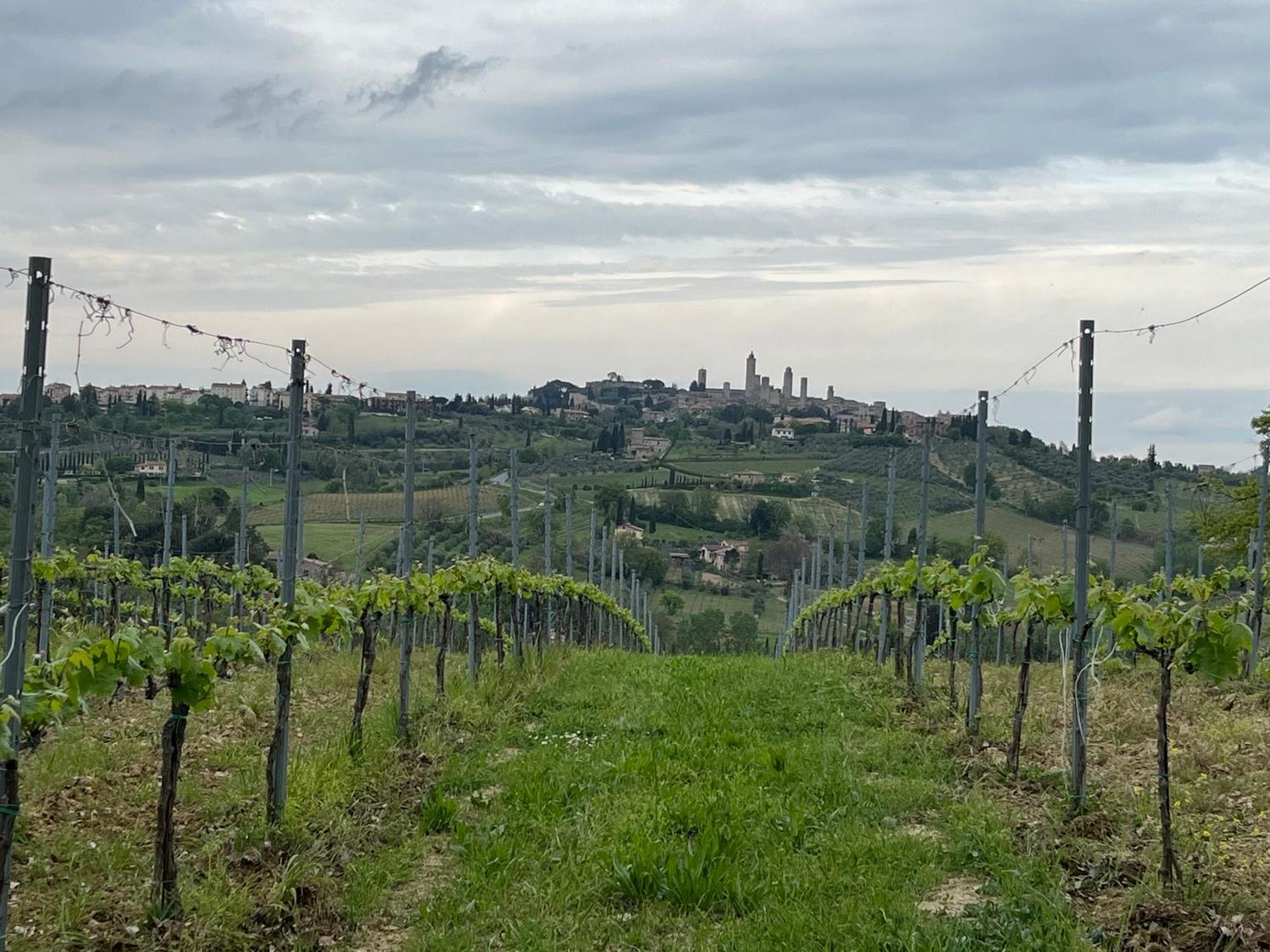 Podere Casanuova San Gimignano Dış mekan fotoğraf