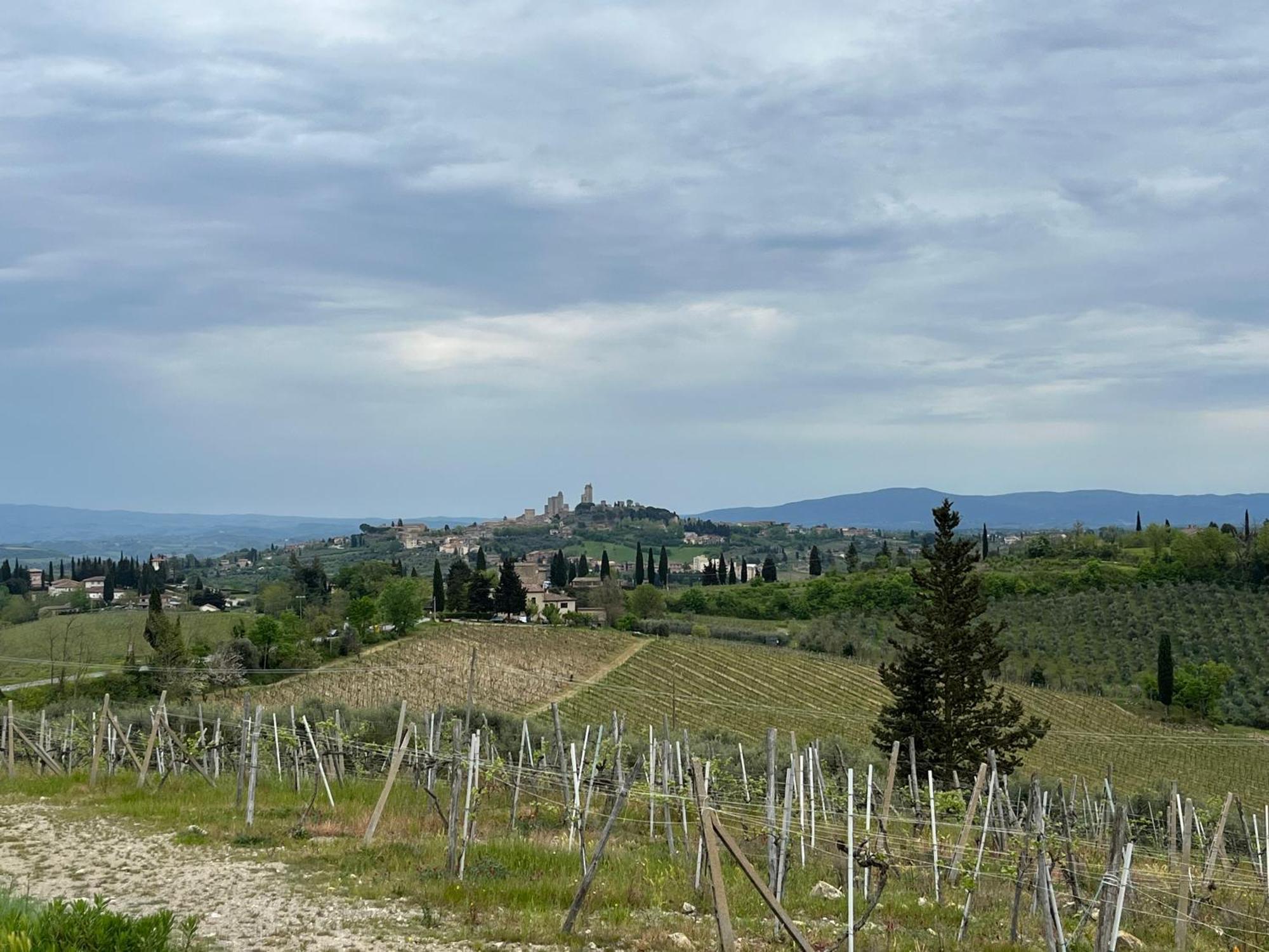 Podere Casanuova San Gimignano Dış mekan fotoğraf
