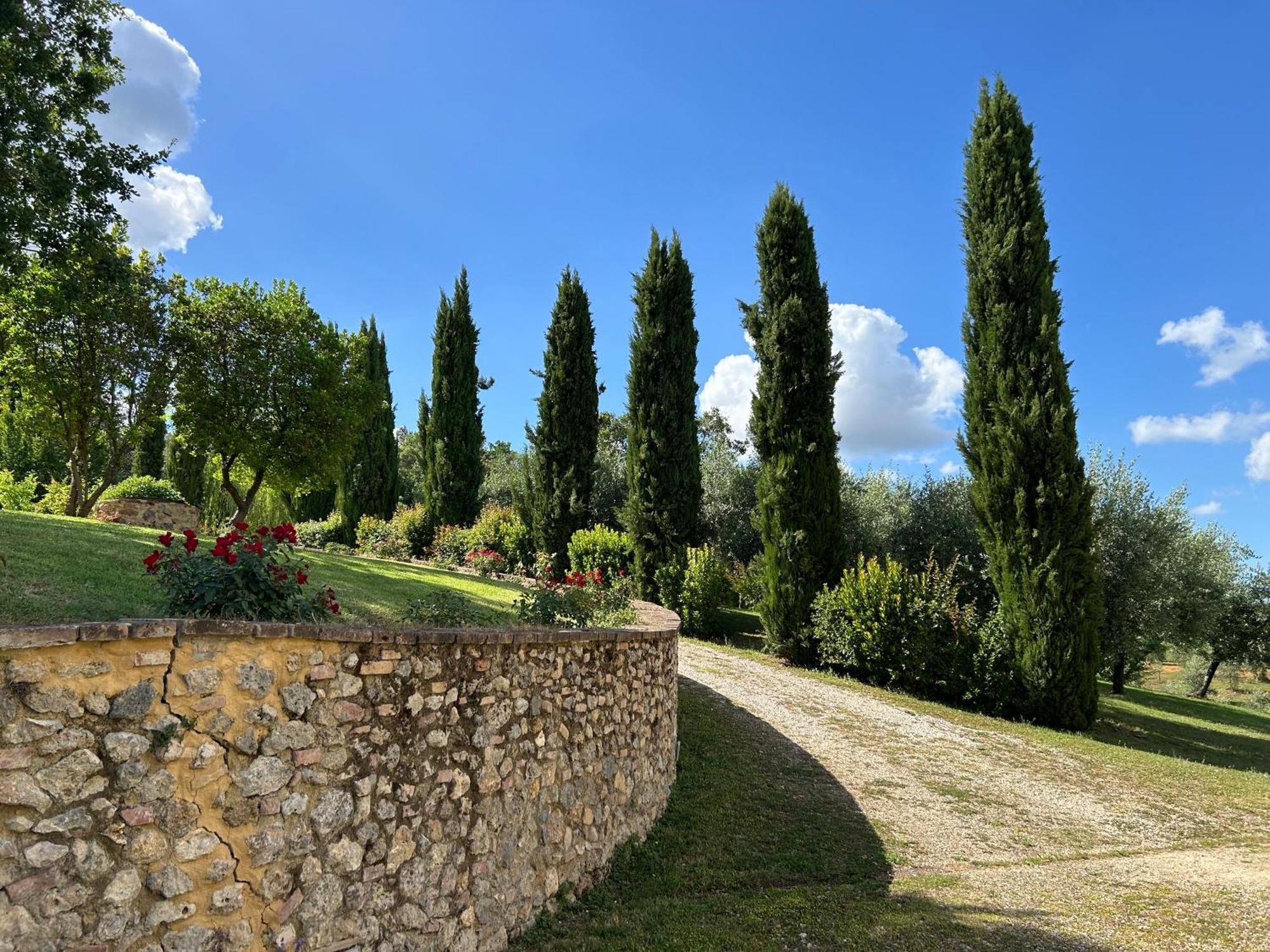 Podere Casanuova San Gimignano Dış mekan fotoğraf