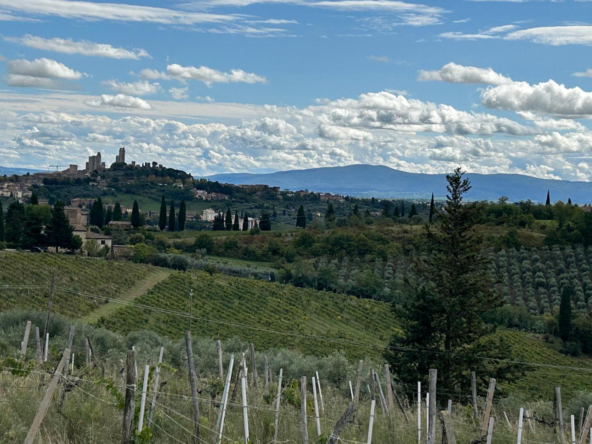 Podere Casanuova San Gimignano Dış mekan fotoğraf