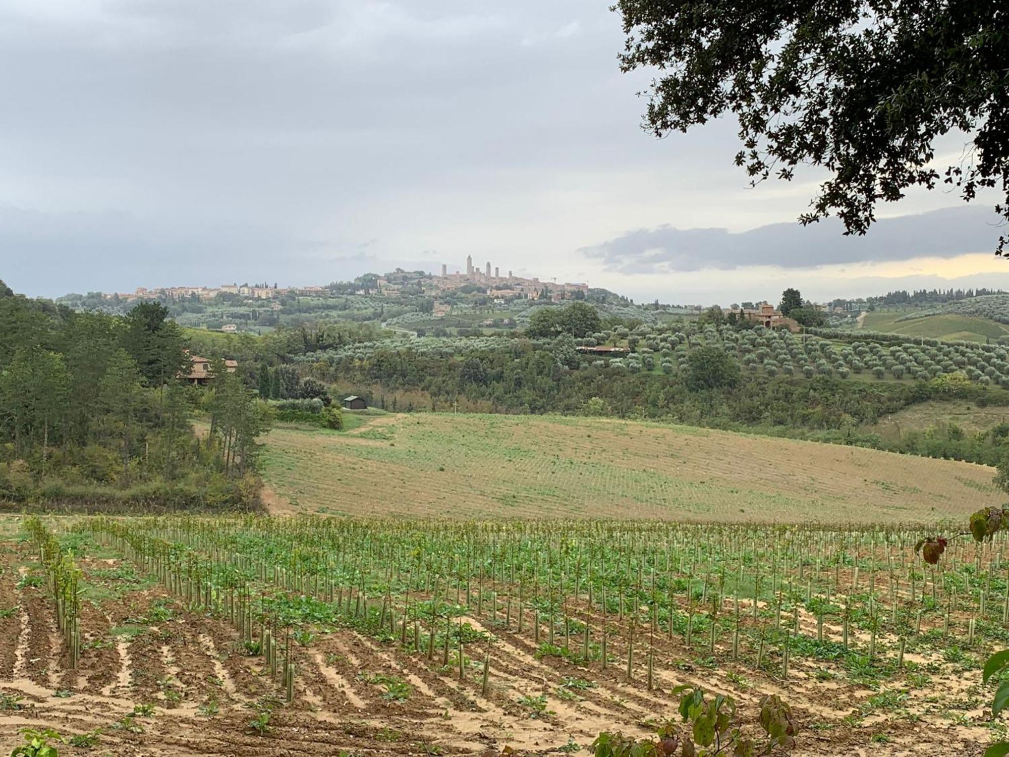 Podere Casanuova San Gimignano Dış mekan fotoğraf