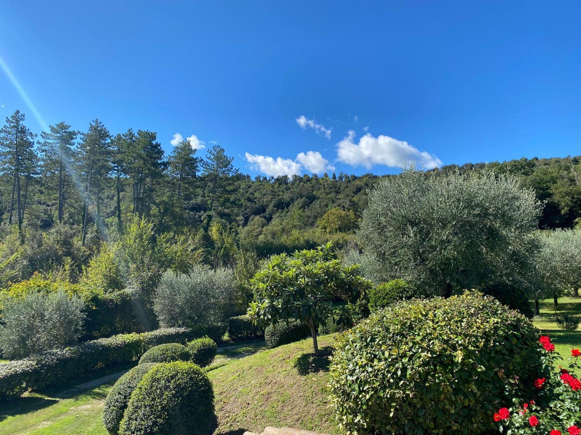 Podere Casanuova San Gimignano Dış mekan fotoğraf