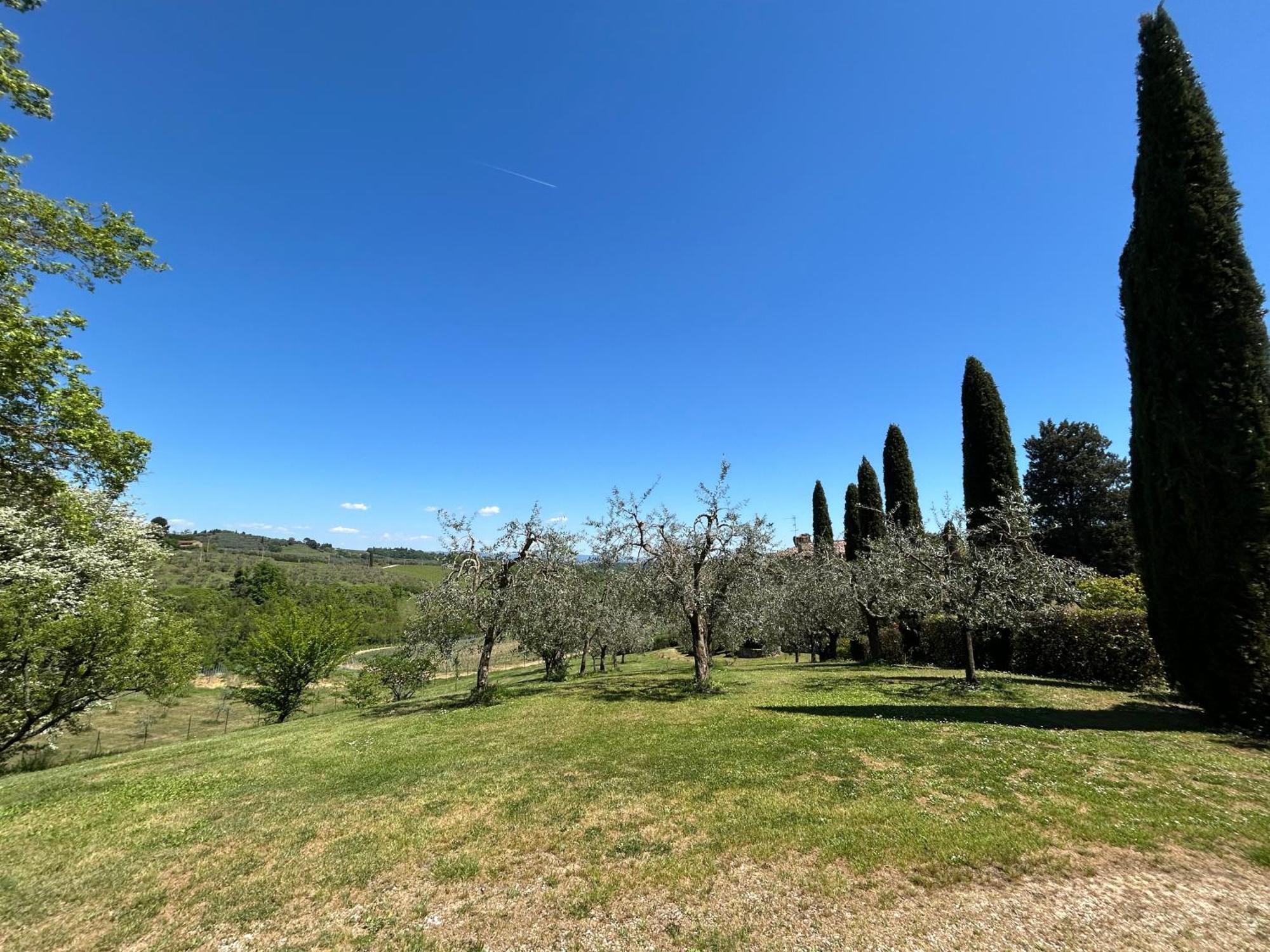 Podere Casanuova San Gimignano Dış mekan fotoğraf