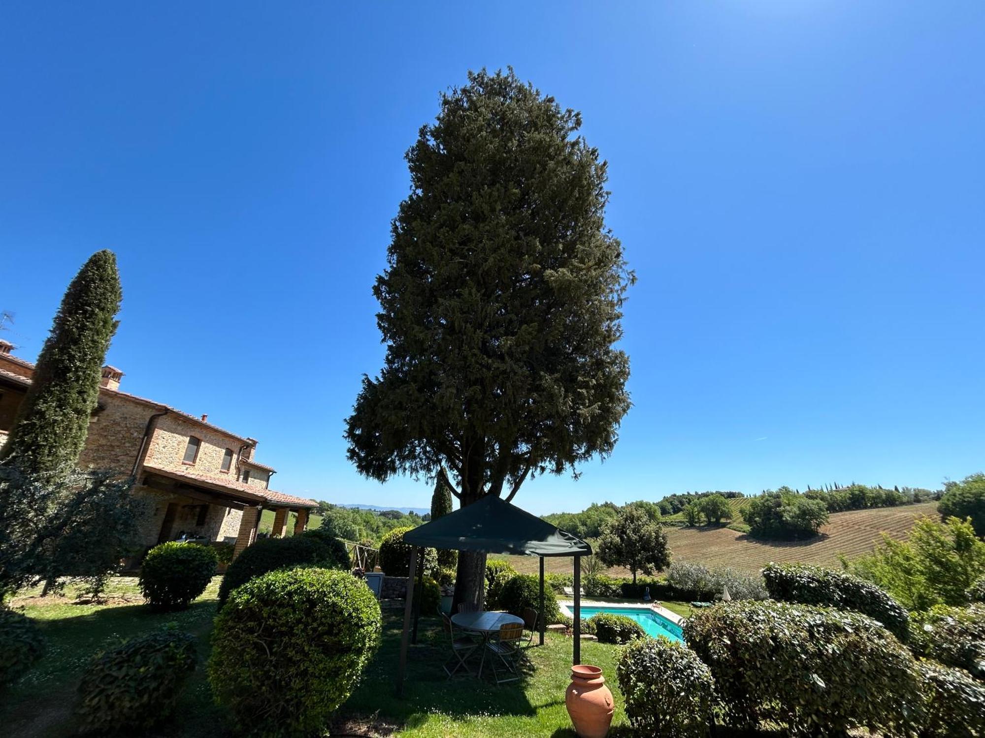 Podere Casanuova San Gimignano Dış mekan fotoğraf