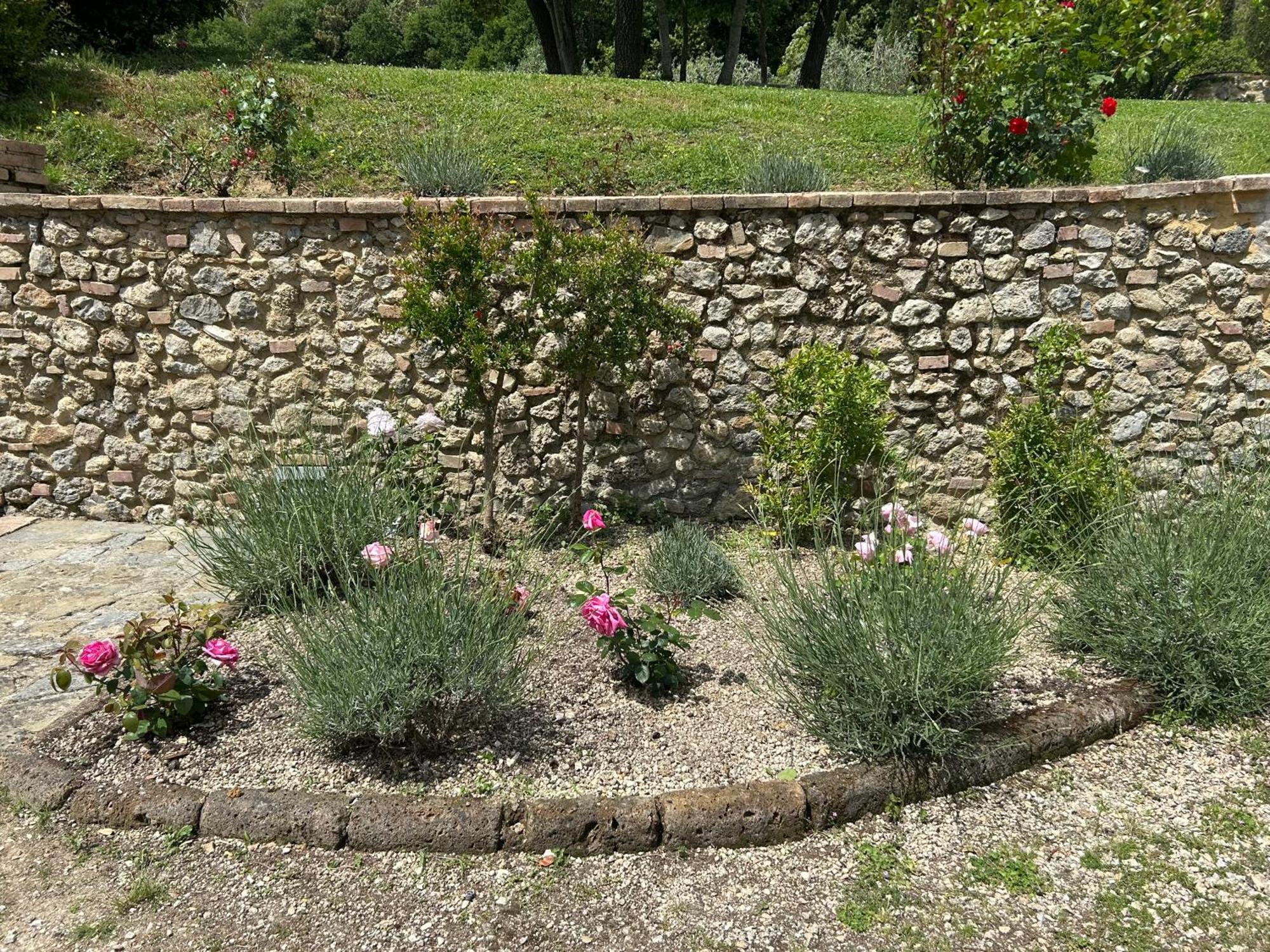 Podere Casanuova San Gimignano Dış mekan fotoğraf